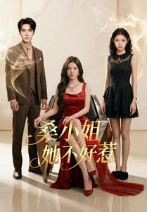桑小姐她不好惹(103集) 桑小姐她不好惹(103集)精彩短剧抢先看