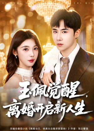 玉佩觉醒，离婚开启新人生（81集）观看软件