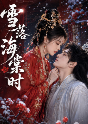雪落海棠时（52集）在线看完整版