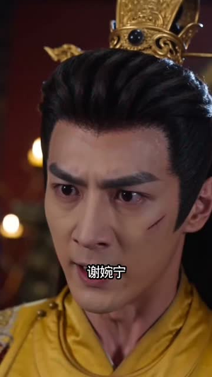 宫阙一梦婉容归（81集）精彩短剧追不停