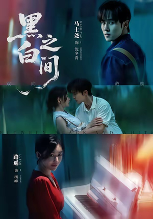 黑白之间（51集）在线播放