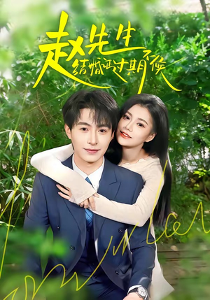 赵先生结婚证过期不候（50集）简直不要太好看