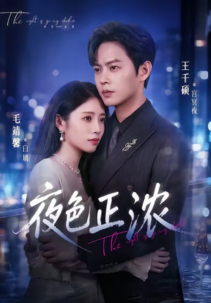 夜色正浓（65集）热播短剧追不停