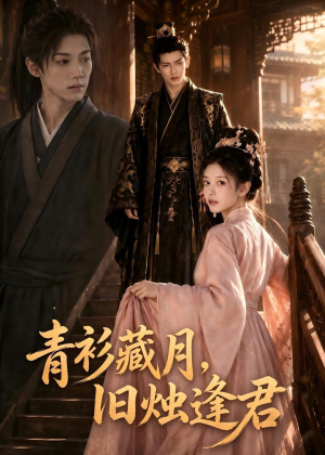 青衫藏月,旧烛逢君(56集) 青衫藏月,旧烛逢君(56集)百度网盘资源