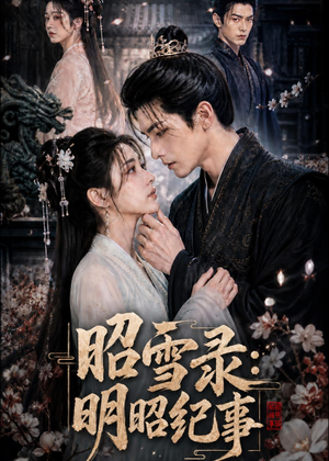昭雪录：明昭纪事（20集）免费在线看