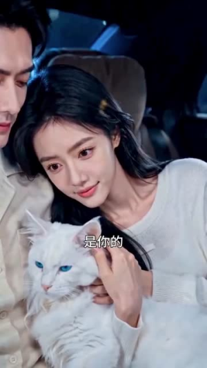 人猫闺蜜横扫难关（61集）直接追到结尾