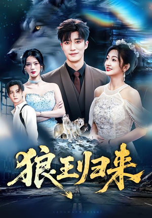 狼王归来（51集）看精彩短剧