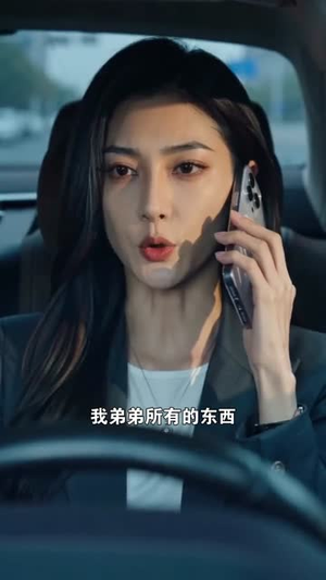 上司侵占弟弟车辆我依法维权（35集）热门短剧大全