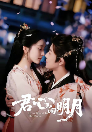 君心向明月(60集) 君心向明月(60集)短剧热门推荐