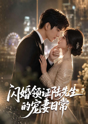 闪婚领证陆先生的宠妻日常（72集）热播短剧免费看