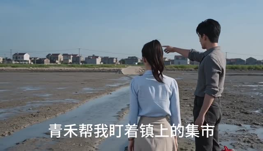 潮湾守清欢（35集）全集都在这里了