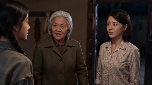 重返1979发家致富奔小康（20集）短剧热门分享