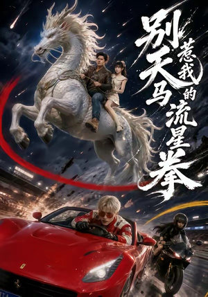 别惹我的天马流星拳（40集）免费看