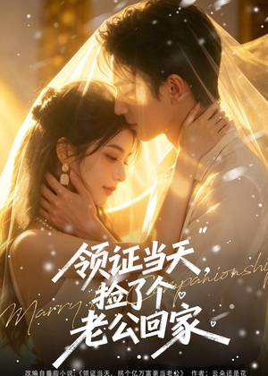 领证当天，捡了个老公回家（80集）百万短剧抢先看