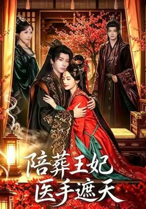 陪葬王妃医手遮天(80集) 陪葬王妃医手遮天(80集)百度网盘资源