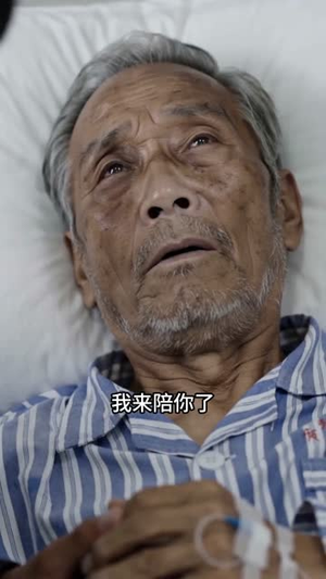 藏寨熊影(43集) 藏寨熊影(43集)短剧完整版免费
