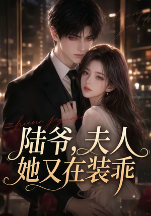 陆爷，夫人她又在装乖（65集）追风的女孩短剧
