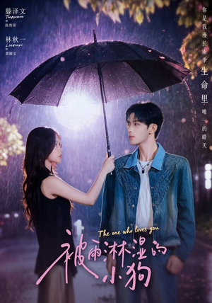 被雨淋湿的小狗(80集) 被雨淋湿的小狗(80集)快来看短剧