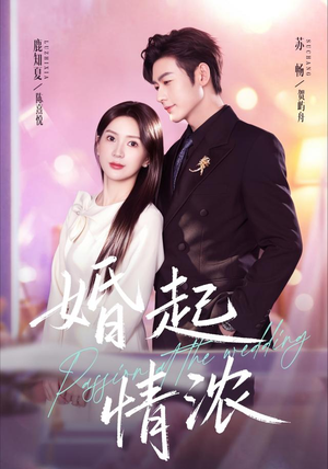 婚起情浓（99集）爱短剧爱追剧