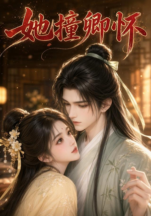 她撞卿怀(30集) 她撞卿怀(30集)一共多少集