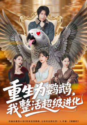 重生为鹦鹉，我整活超级进化（70集）短剧太上头了