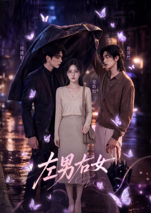 左男右女(63集) 左男右女(63集)爱短剧爱追剧