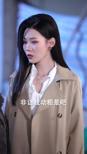 双枪美妻你别怕，哥哥是修仙的（68集）一共多少集