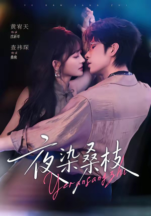 夜染桑枝（73集）最新上映的短剧