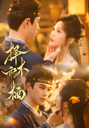择木而栖（84集）在线观看完整版