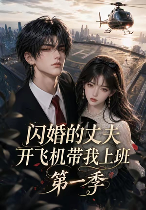 闪婚的丈夫开飞机带我上班第一季（91集）女频短剧推荐