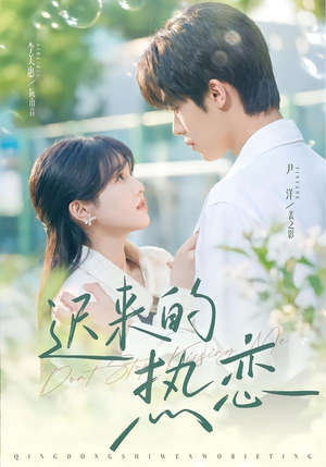 迟来的热恋（80集）在线免费观影