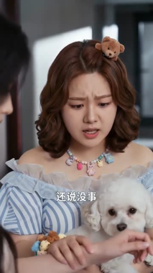 金蟒绝食贴贴，兽医一句话我浑身发冷（61集）看短剧放松一下