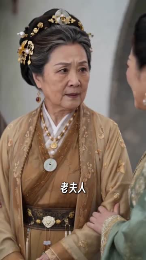 拾君记（56集）最新火爆短剧
