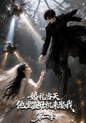 婚礼当天，他坐直升机来娶我第二季（132集）百万短剧抢先看