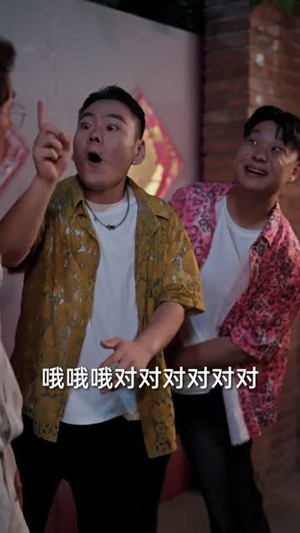 外来媳妇专治各种不服第二季（63集）短剧有好货推荐