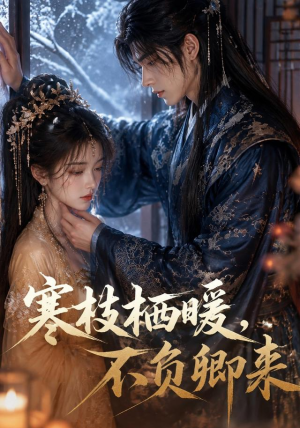 寒枝栖暖，不负卿来（50集）海量短剧免费看