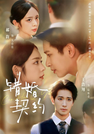 错婚契约(66集) 错婚契约(66集)高清无码免费看