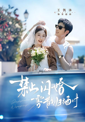 禁止闪婚，雾散归栖时（66集）深深爱上这部剧