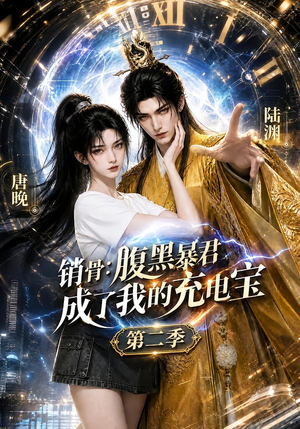 销骨：腹黑暴君成了我的充电宝第二季（142集）80到100集