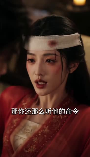 闺蜜双穿暗卫和皇位全都要（64集）全集都在这里了
