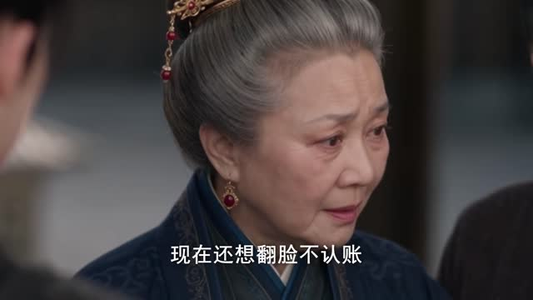 笨蛋王妃纨绔王爷，掀翻这京城第一季（98集）在哪个平台看