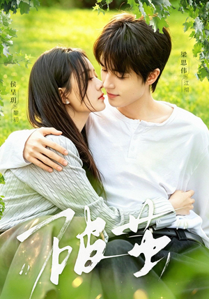 破茧（76集）更新时间