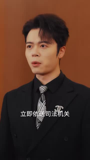 护宝特别行动小小队（77集）1-102集