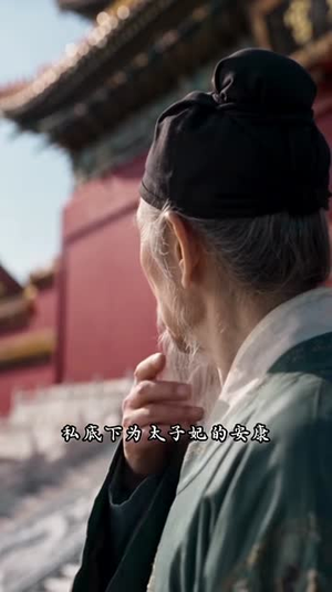 殿下娘娘她恃宠而骄（261集）第二季