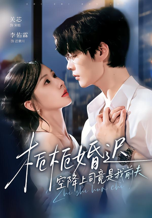 栀栀婚迟，空降上司竟是我前夫（76集）精彩短剧后续