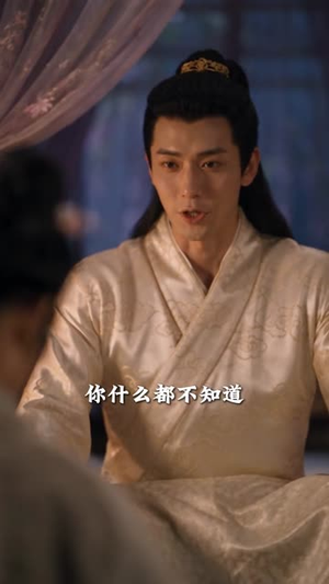 大唐憨婿之我姐姐是太子妃第二季（130集）好看吗
