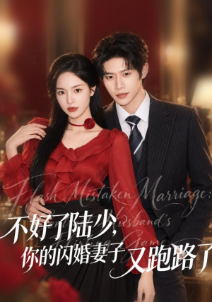 不好了陆少,你的闪婚妻子又跑路了(80集) 不好了陆少,你的闪婚妻子又跑路了(80集)免费在线看
