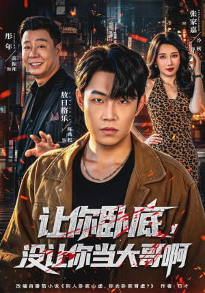 让你卧底,没让你当大哥啊(80 集) 让你卧底,没让你当大哥啊(80 集)第32集