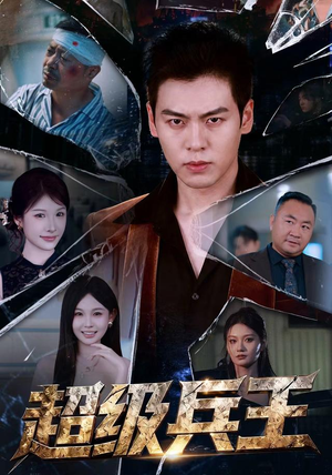 超级兵王（81 集）全集一网打尽