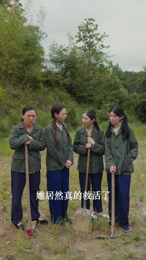 北风与南枝(44 集) 北风与南枝(44 集)爱短剧爱追剧
